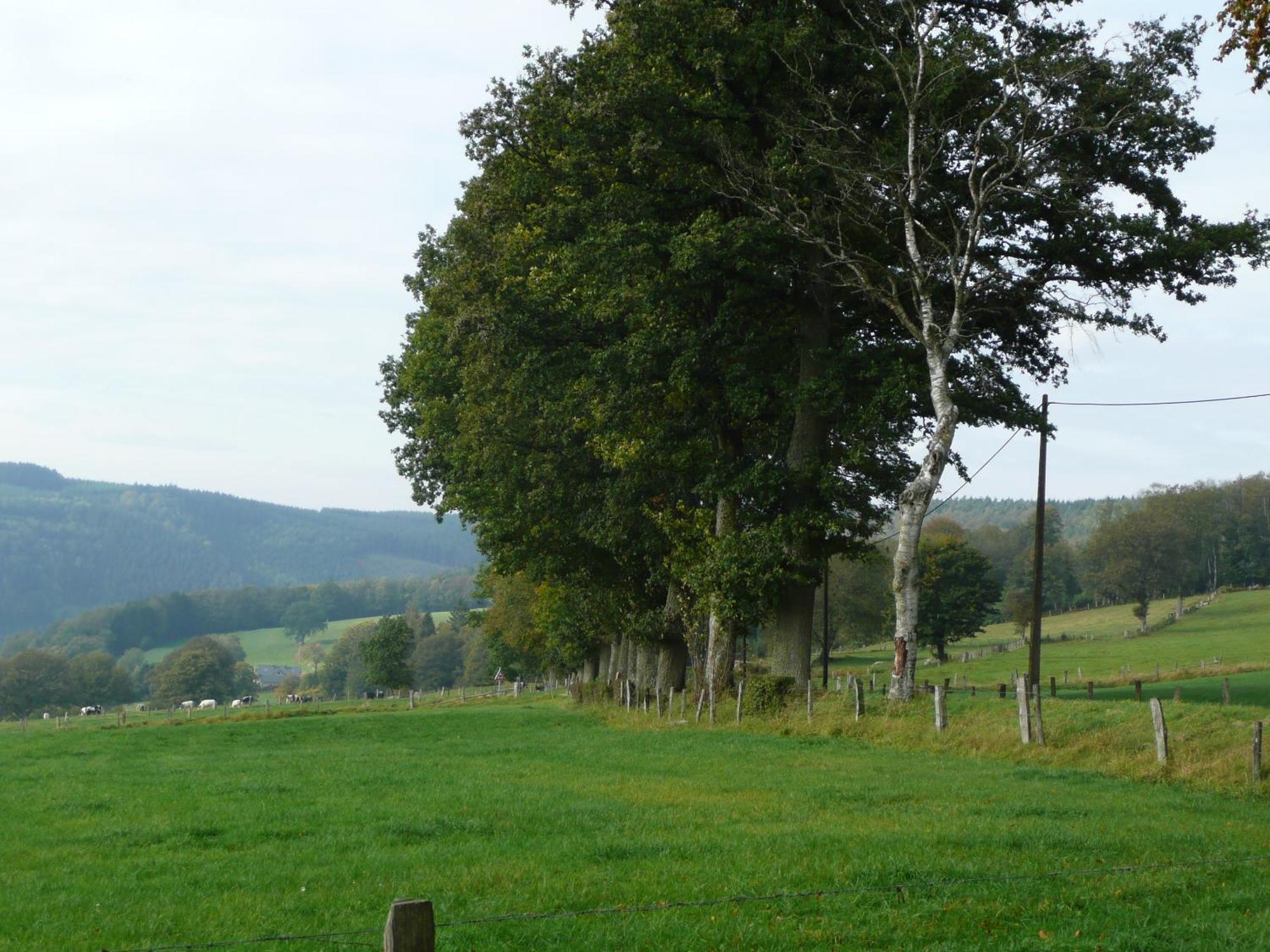 Le Fournil Gite Rural 特鲁瓦蓬 外观 照片